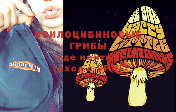 дурь Балахна