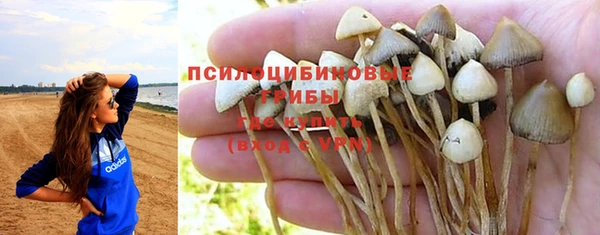 дурь Балахна